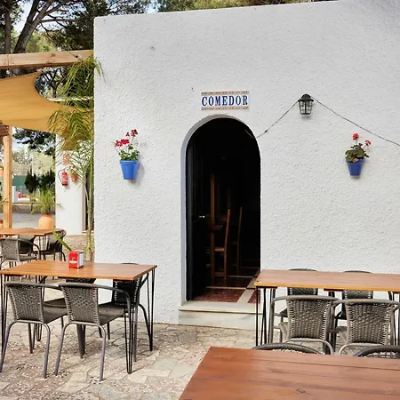 Taiga Conil 营地 *